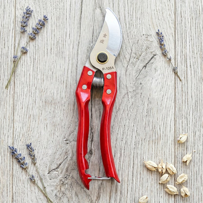 Someone using garden pruning shears to trim a small plant stem.