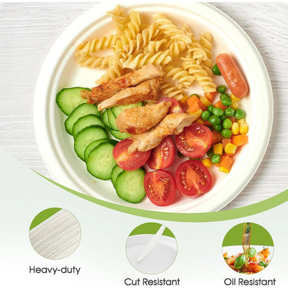 Round food serving plate used as meal tray for takeaway
